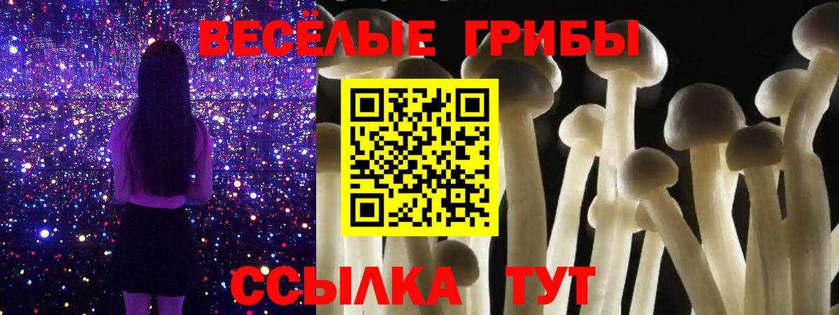 Галлюциногенные грибы прущие грибы Губкин