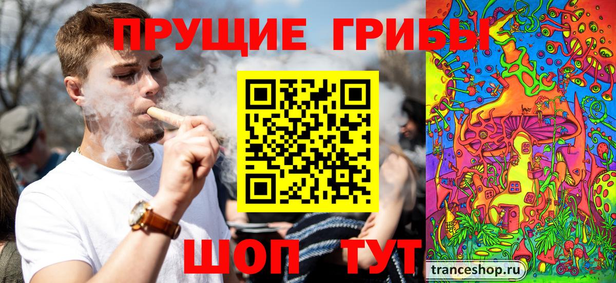 Псилоцибиновые грибы Psilocybe  где можно купить   Вход с VPN  Губкин  Псилоцибиновые грибы ЛСД 