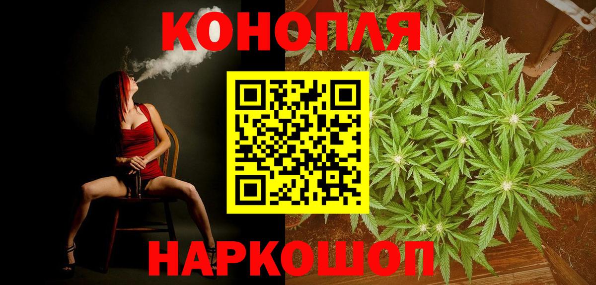 Каннабис сатива Губкин